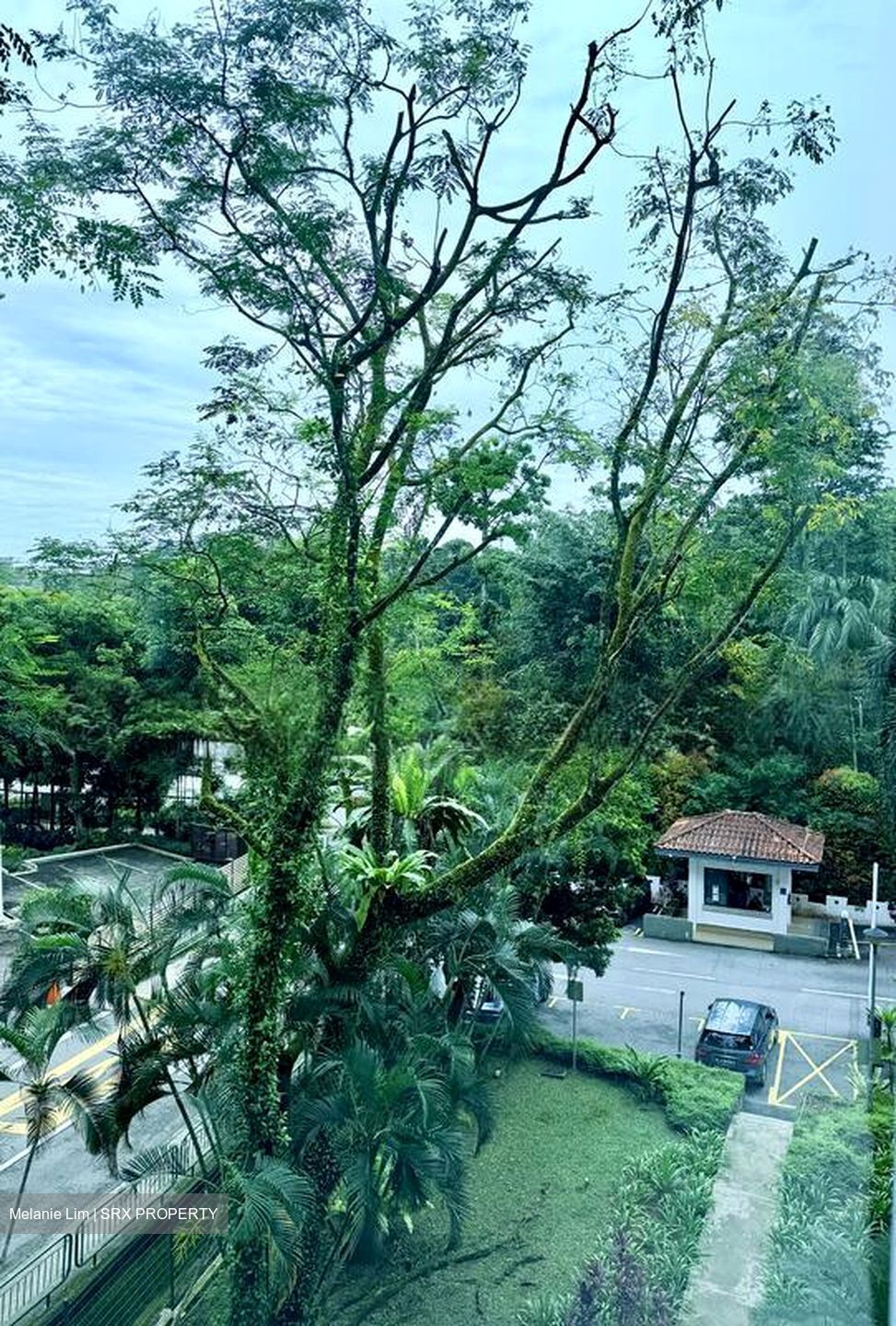 Botanic Gardens View (D10), Apartment #497947111